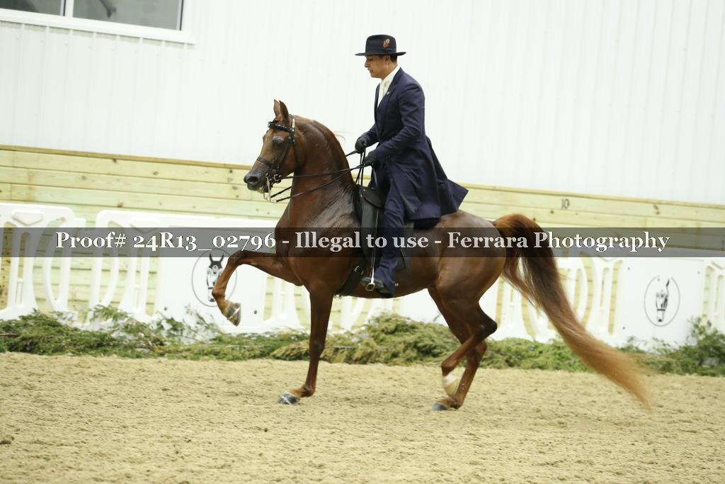 Proof Number 24R13_02796