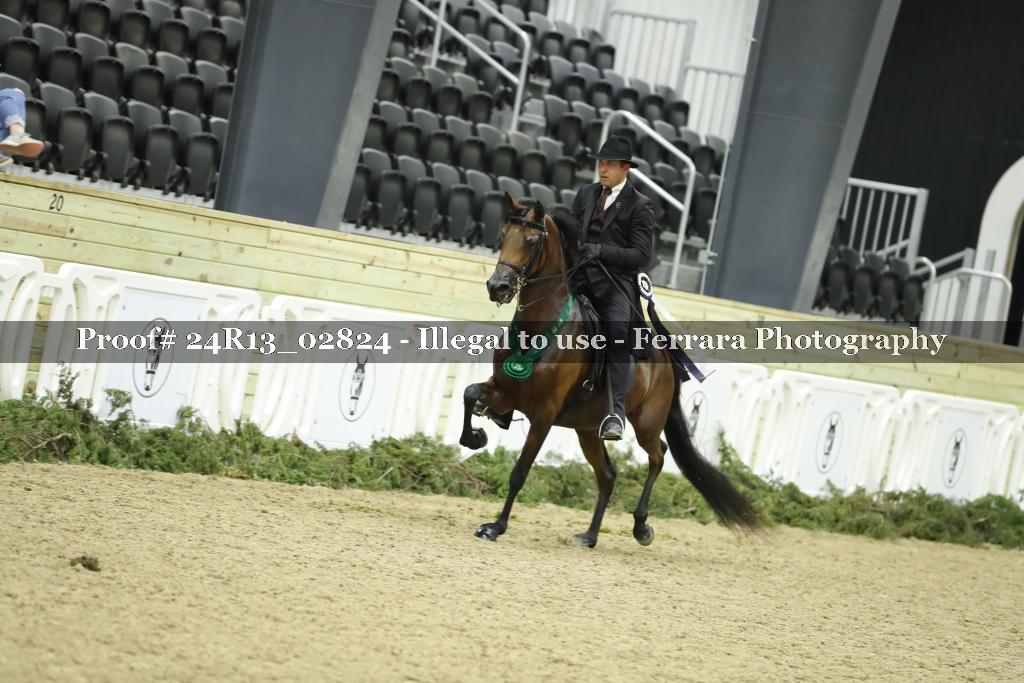Proof Number 24R13_02824