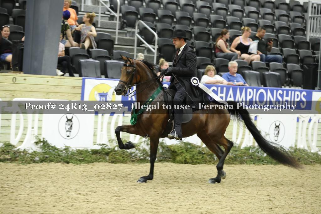 Proof Number 24R13_02827