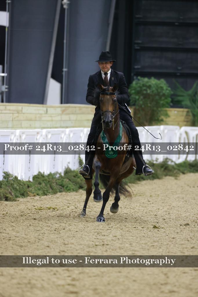 Proof Number 24R13_02842