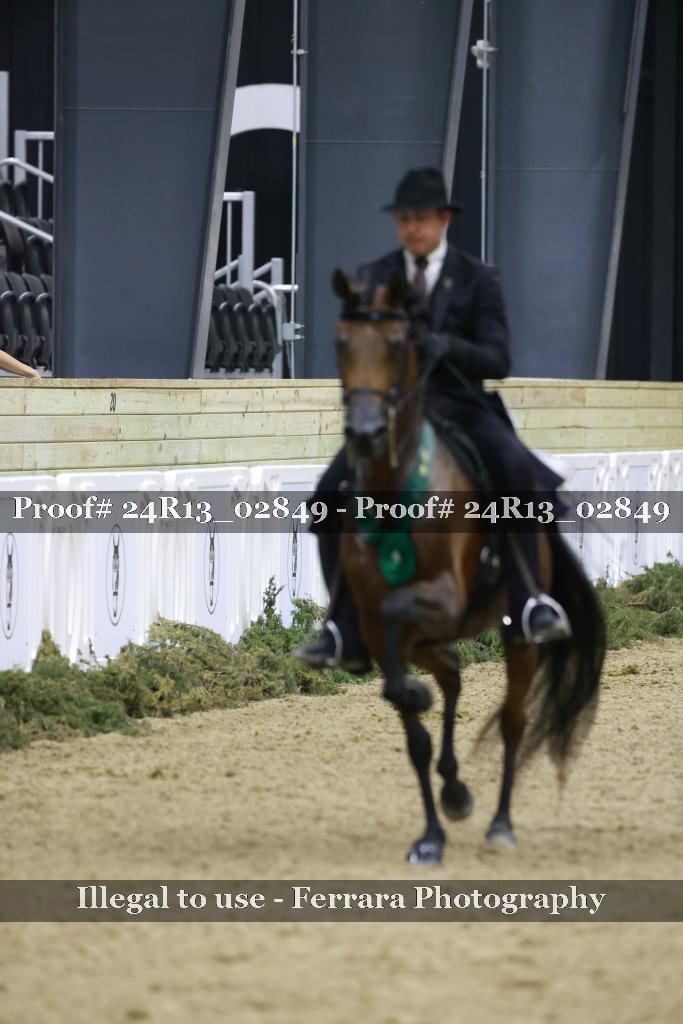 Proof Number 24R13_02849