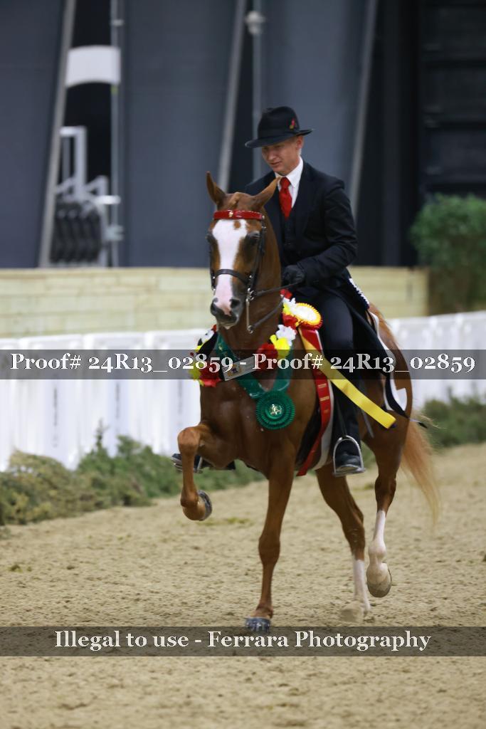 Proof Number 24R13_02859