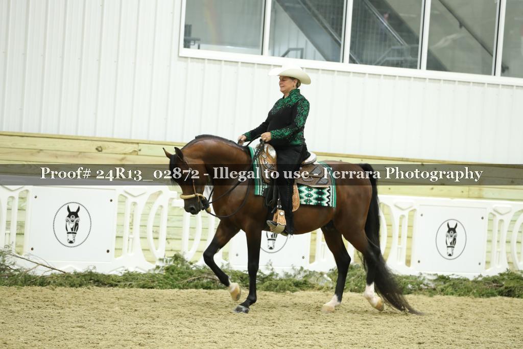 Proof Number 24R13_02872