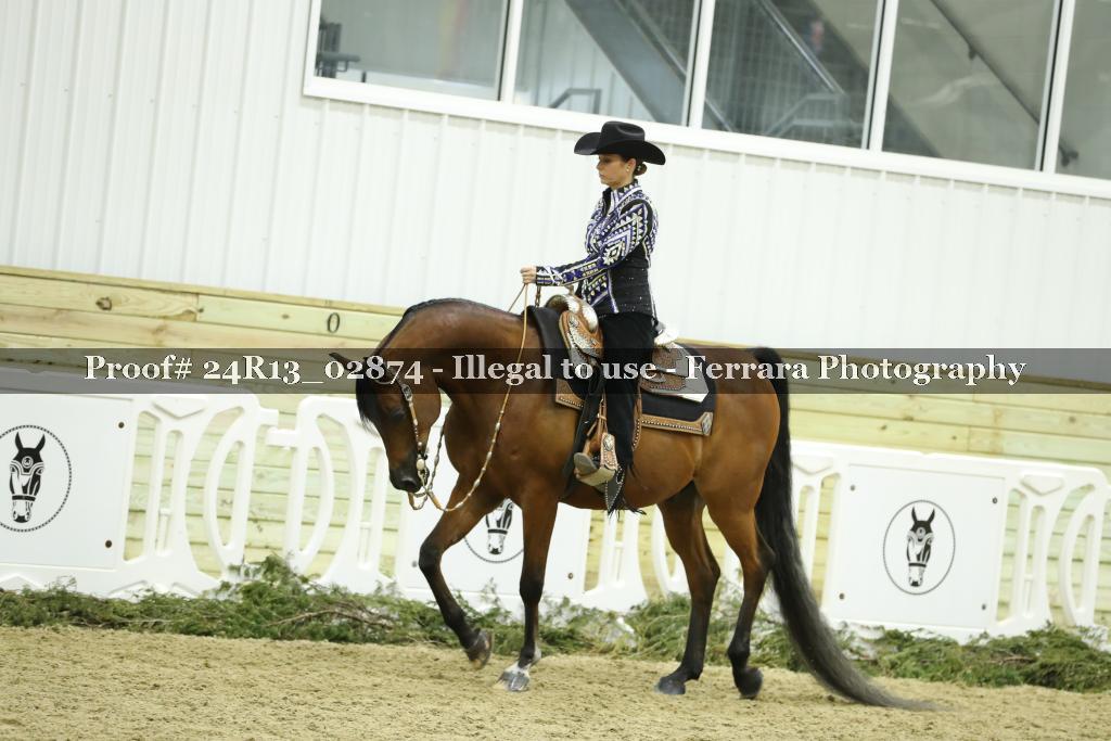 Proof Number 24R13_02874
