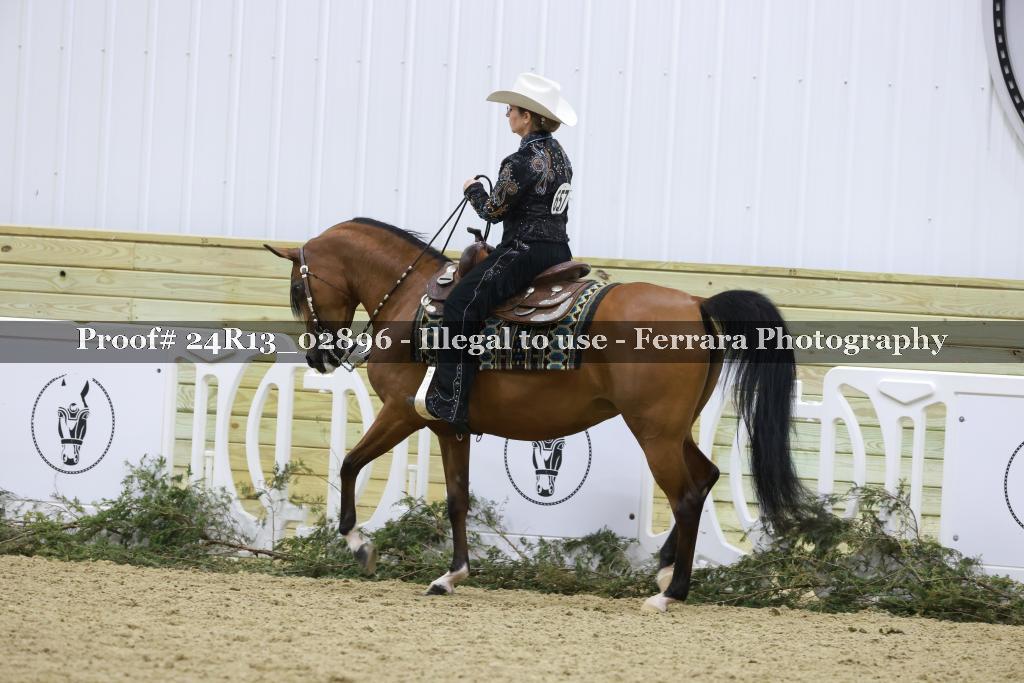 Proof Number 24R13_02896