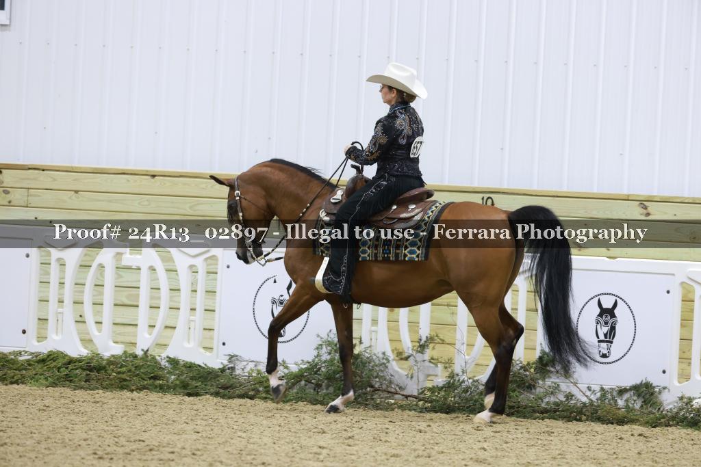 Proof Number 24R13_02897