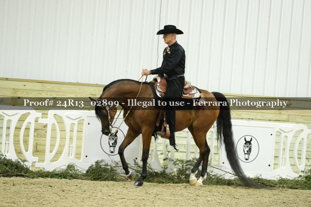 Proof Number 24R13_02899
