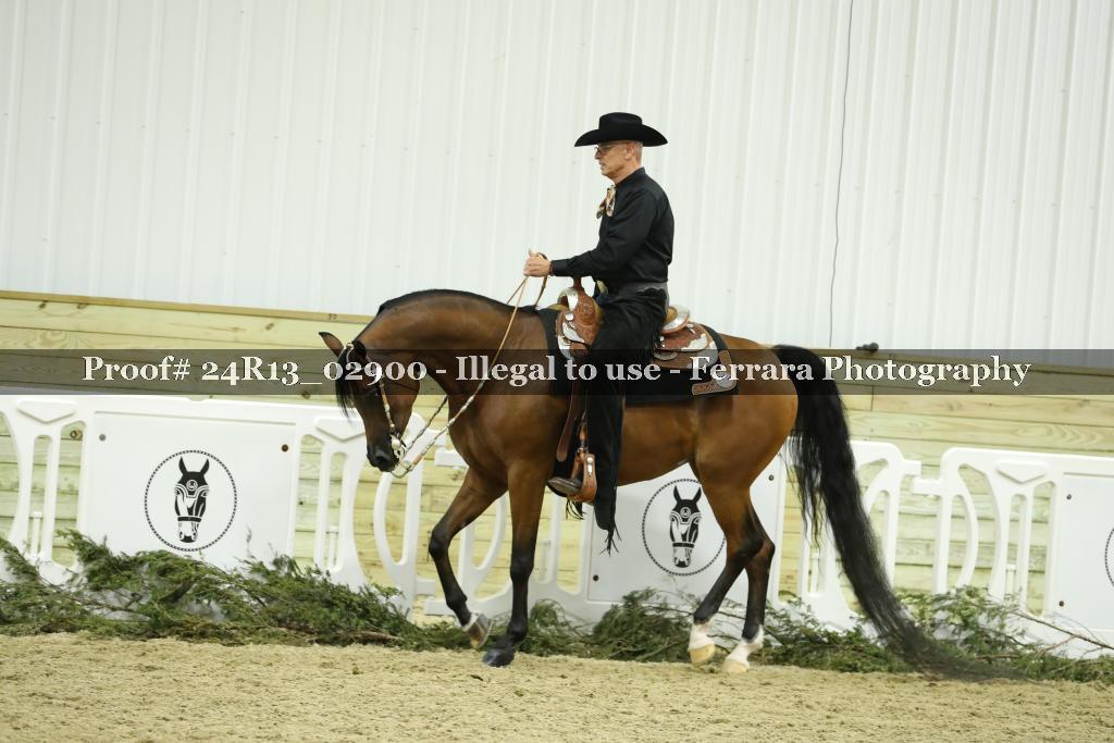 Proof Number 24R13_02900
