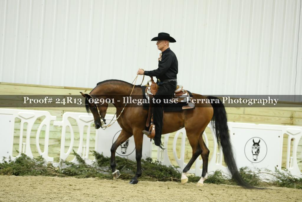Proof Number 24R13_02901