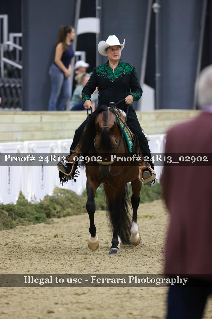 Proof Number 24R13_02902