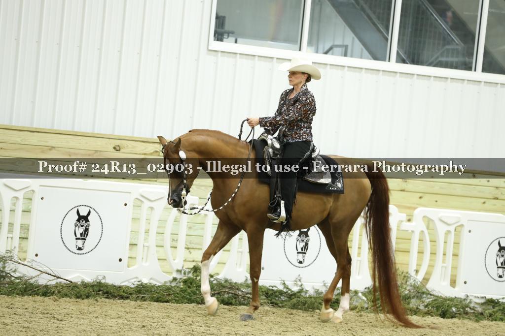 Proof Number 24R13_02903
