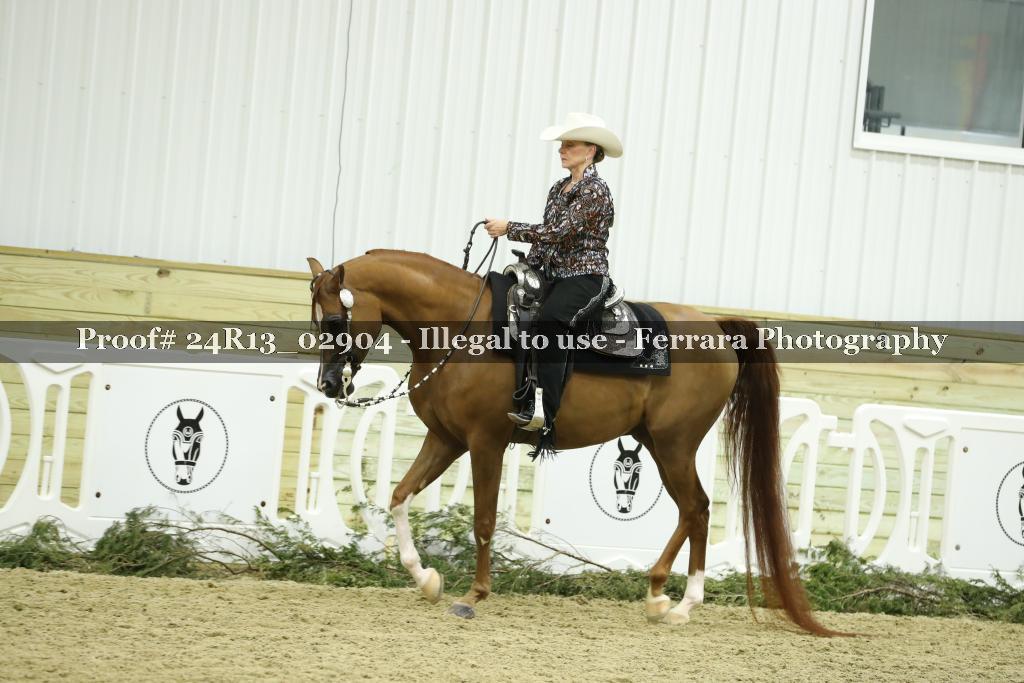 Proof Number 24R13_02904