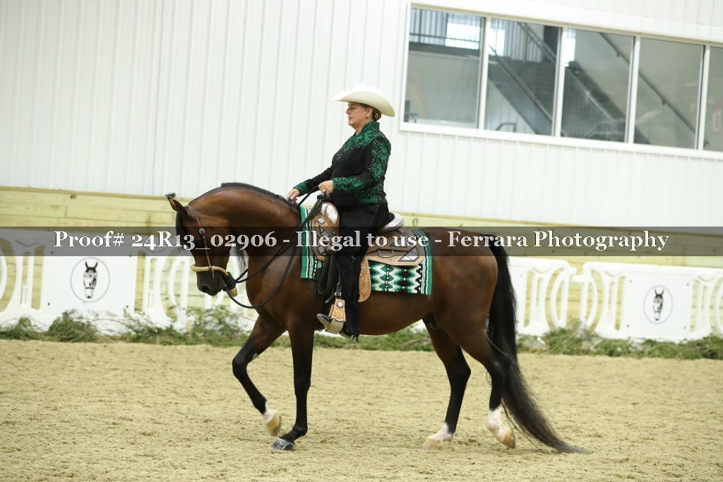 Proof Number 24R13_02906