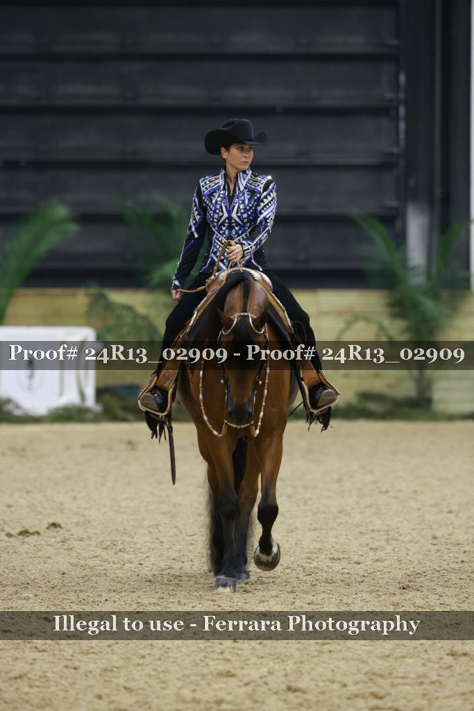 Proof Number 24R13_02909