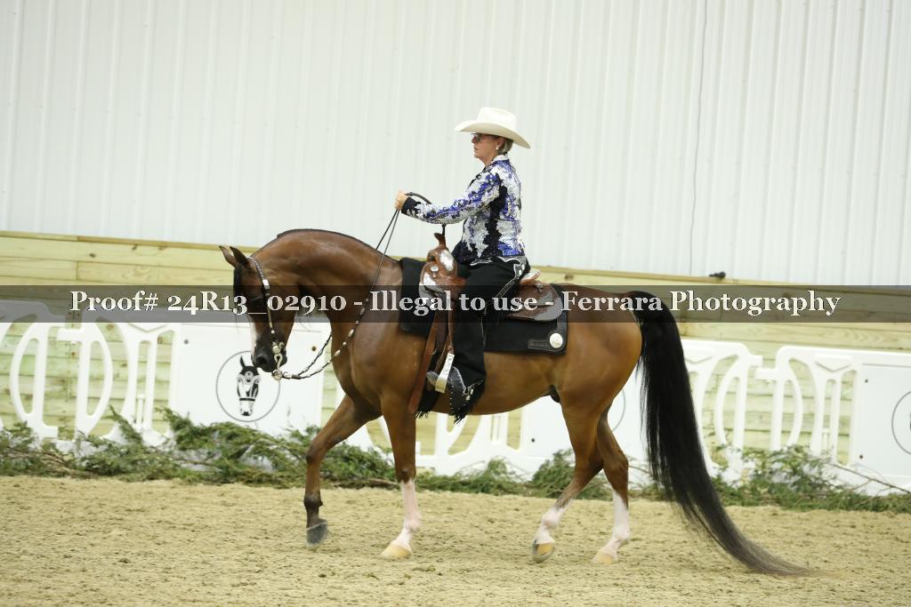 Proof Number 24R13_02910