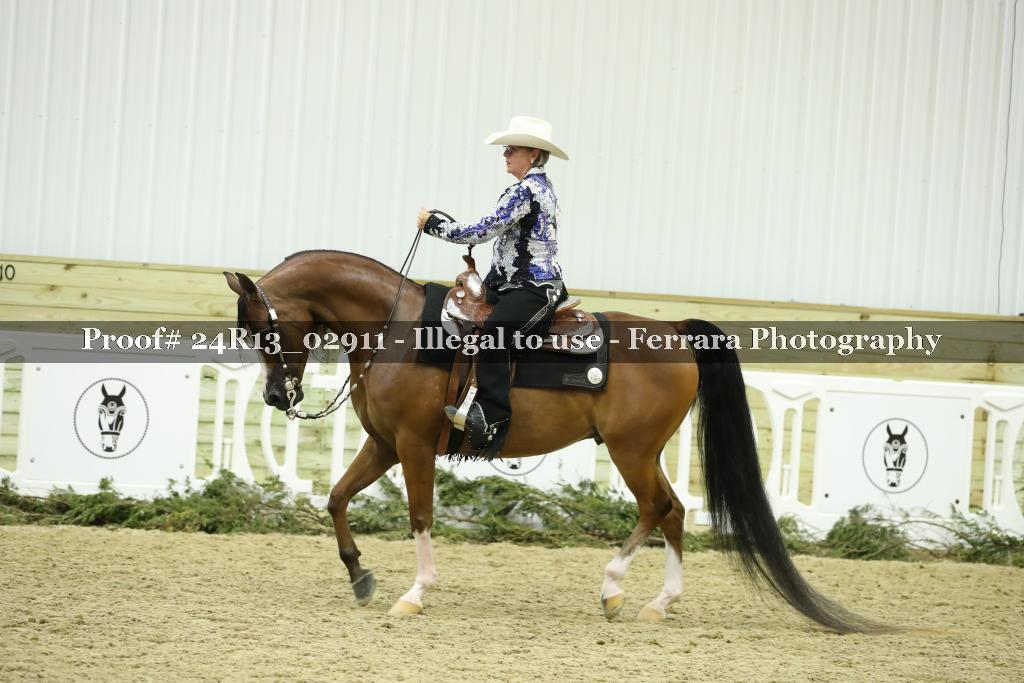 Proof Number 24R13_02911