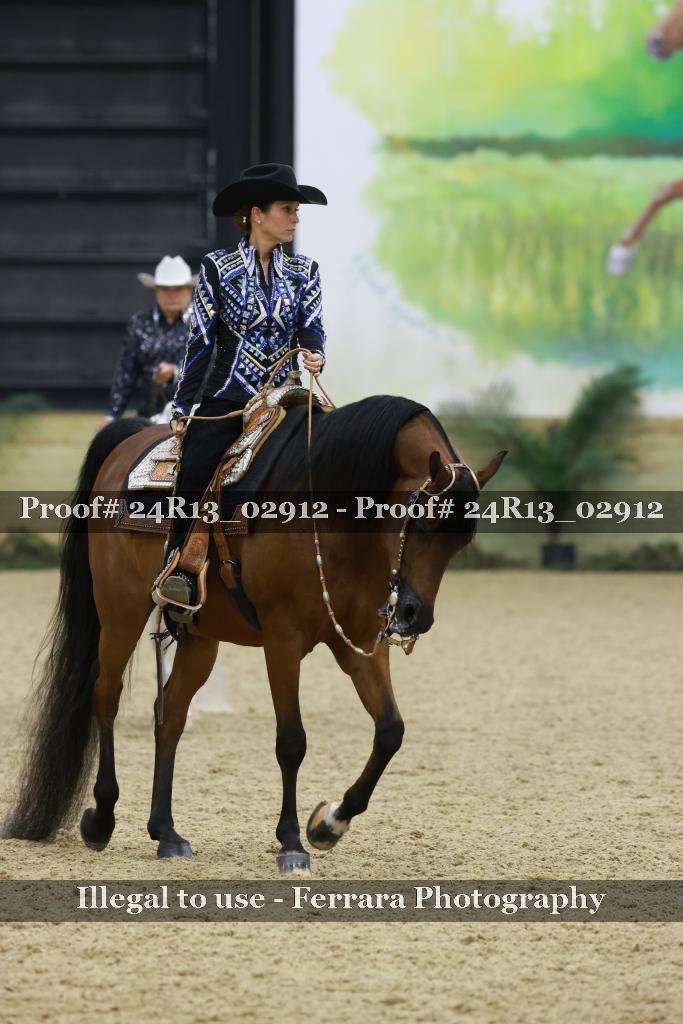 Proof Number 24R13_02912