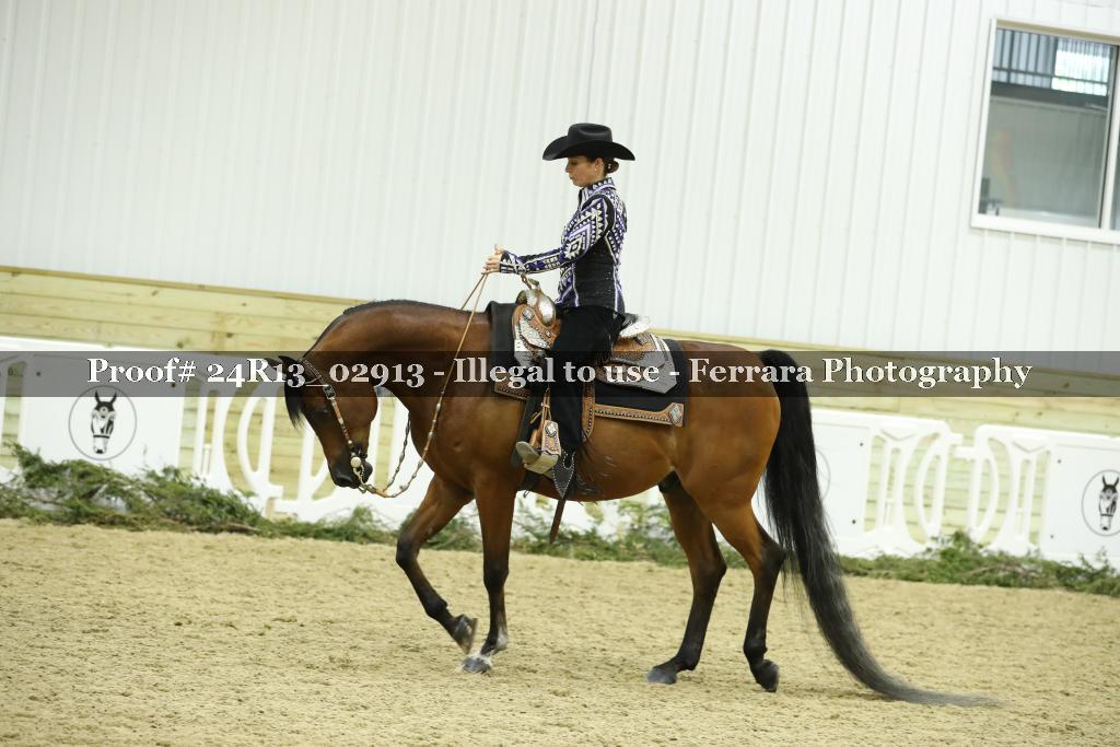Proof Number 24R13_02913