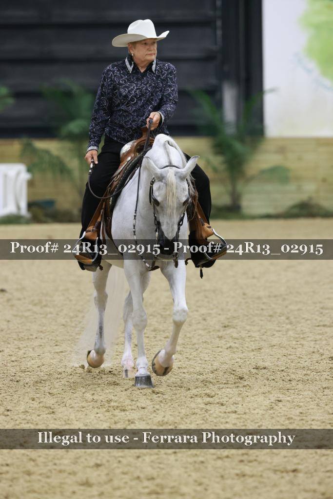 Proof Number 24R13_02915