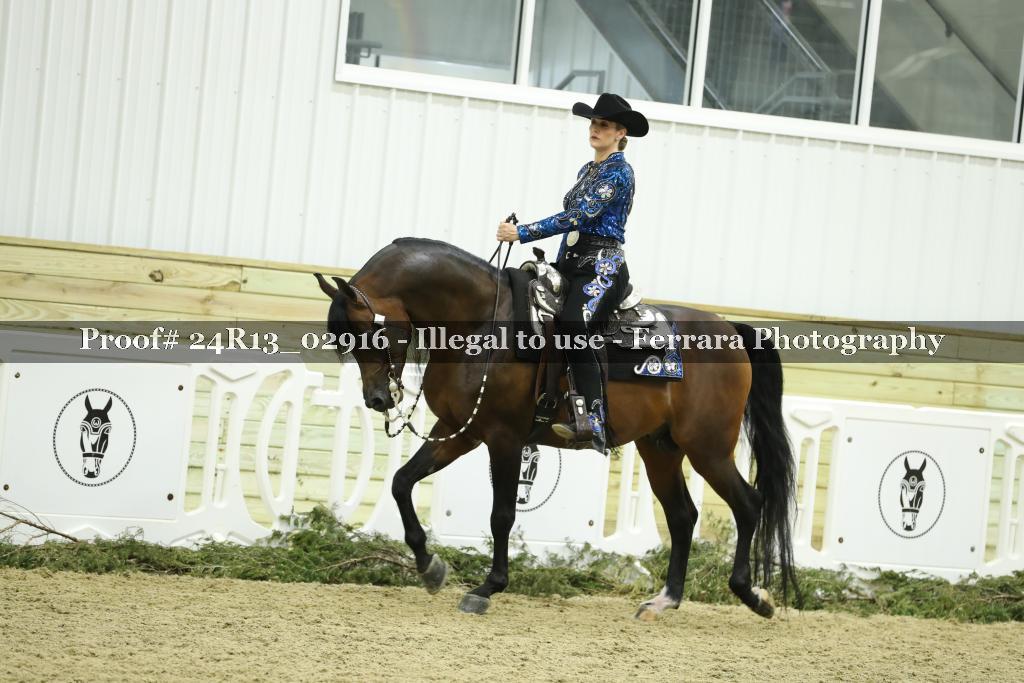 Proof Number 24R13_02916