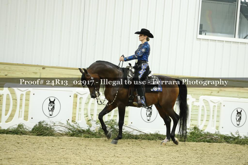 Proof Number 24R13_02917