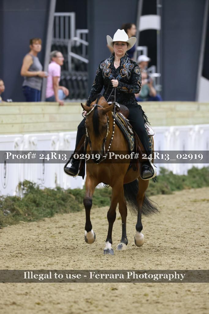 Proof Number 24R13_02919