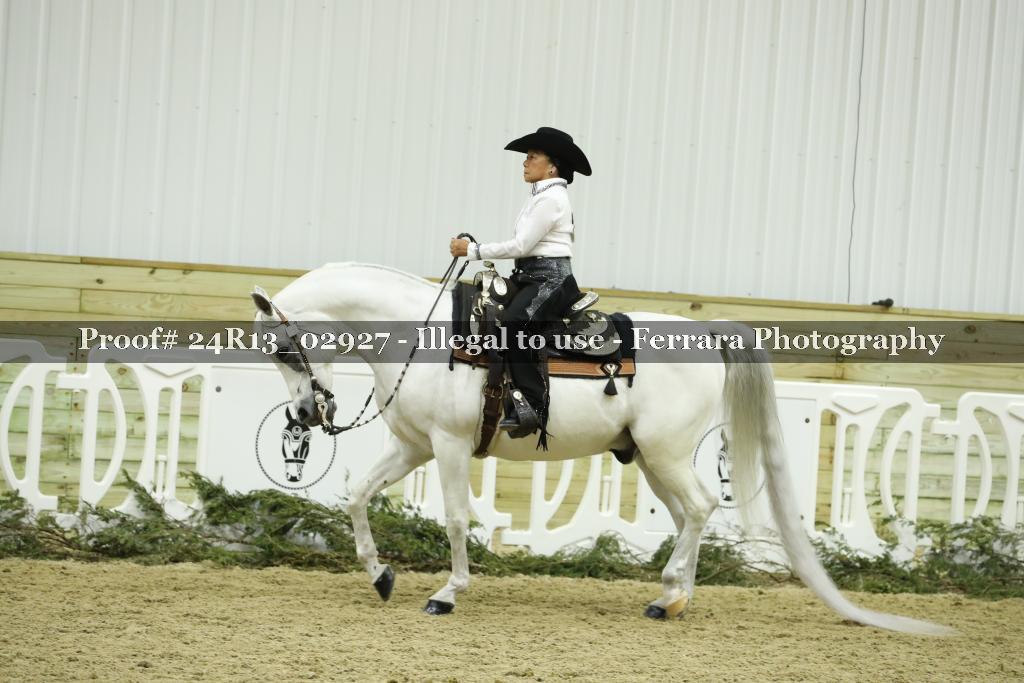 Proof Number 24R13_02927