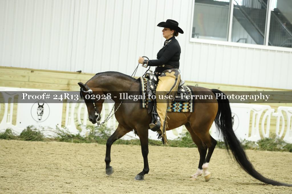 Proof Number 24R13_02928