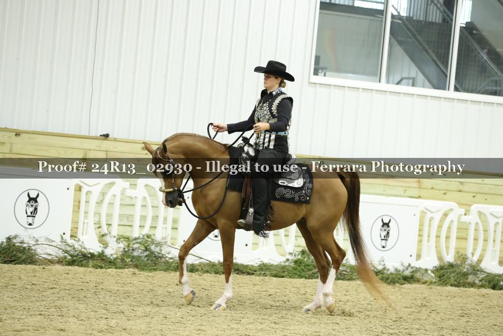 Proof Number 24R13_02930