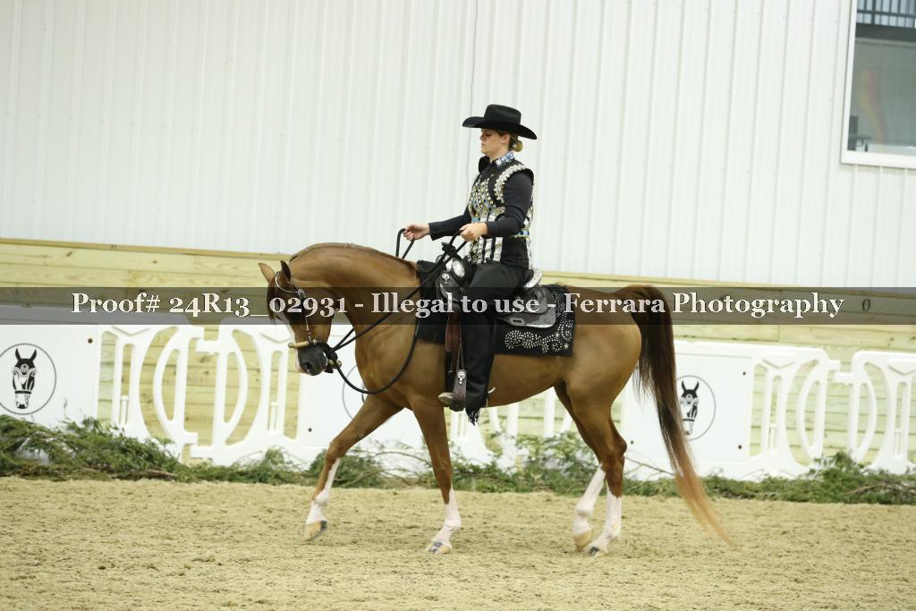 Proof Number 24R13_02931