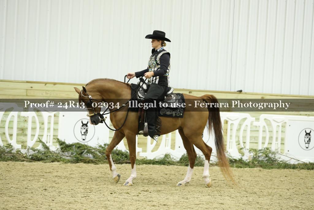 Proof Number 24R13_02934