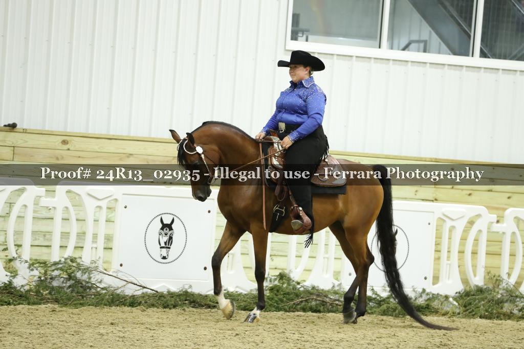 Proof Number 24R13_02935