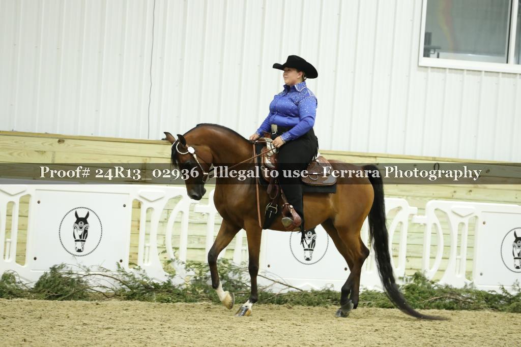 Proof Number 24R13_02936