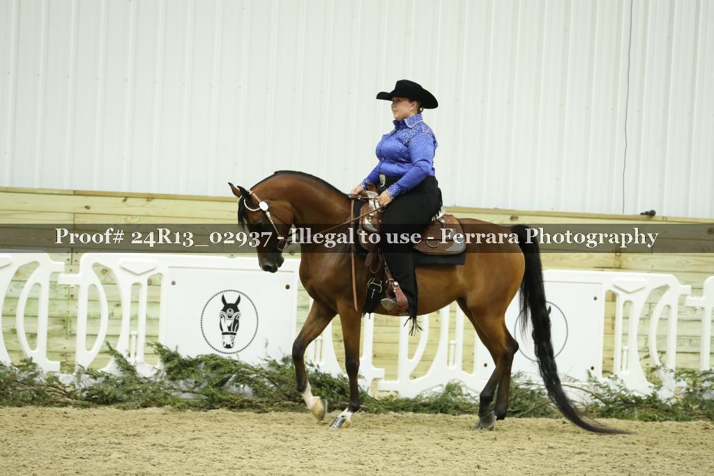 Proof Number 24R13_02937