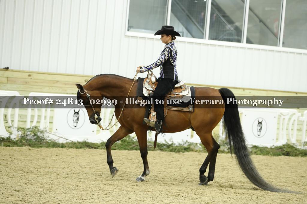 Proof Number 24R13_02939