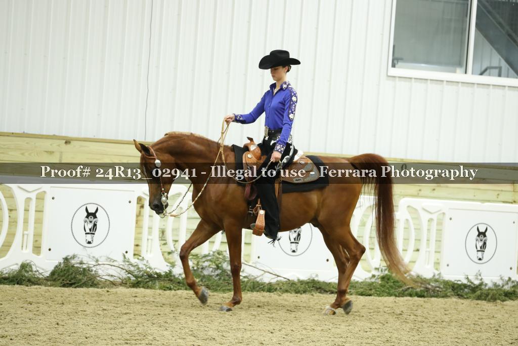 Proof Number 24R13_02941
