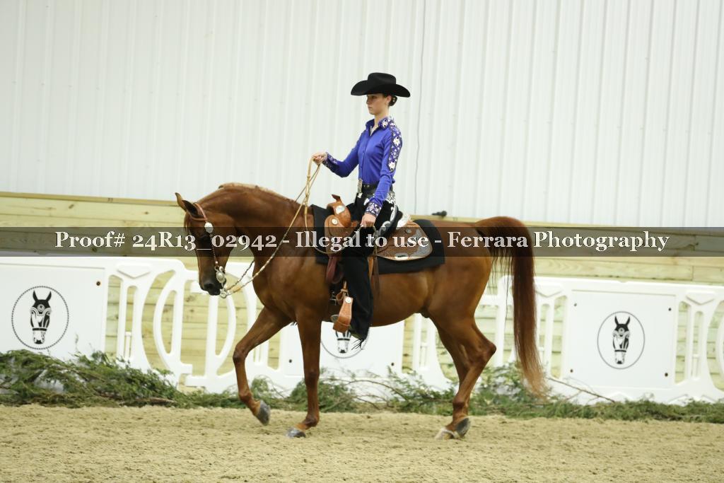 Proof Number 24R13_02942