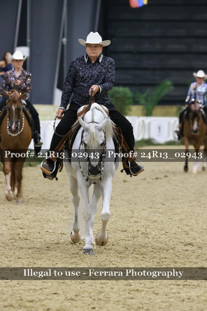 Proof Number 24R13_02943