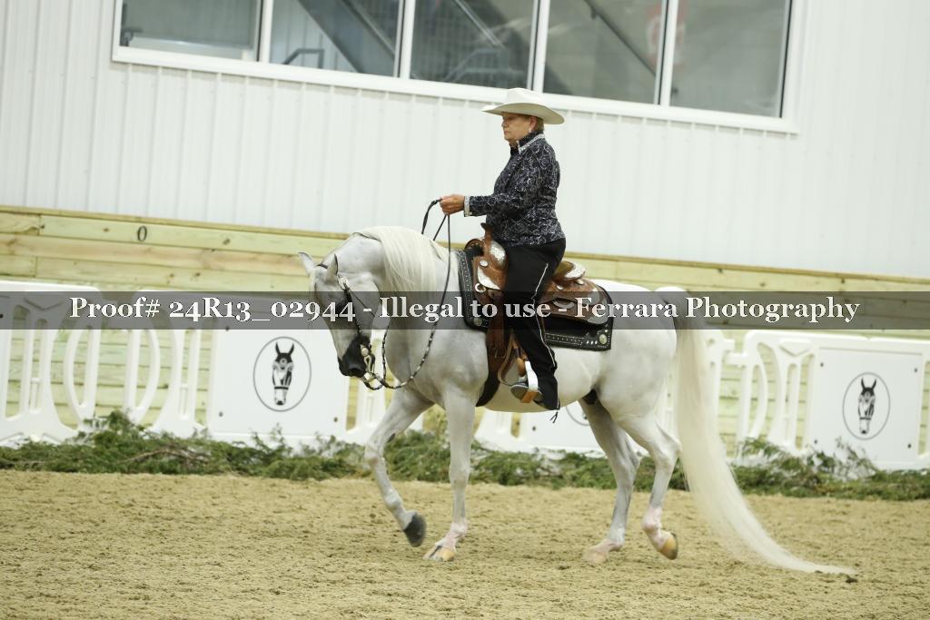 Proof Number 24R13_02944