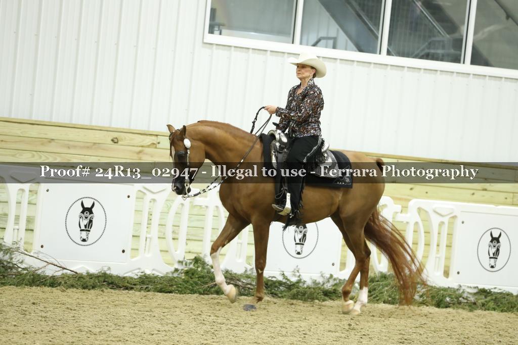 Proof Number 24R13_02947