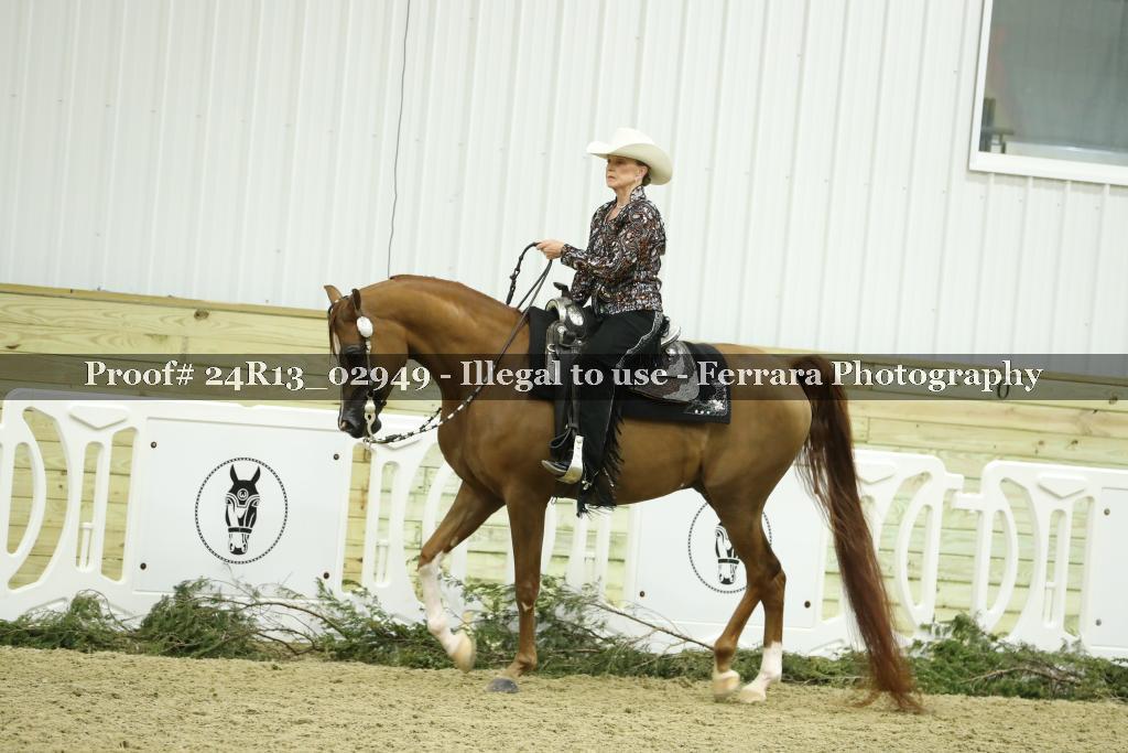 Proof Number 24R13_02949