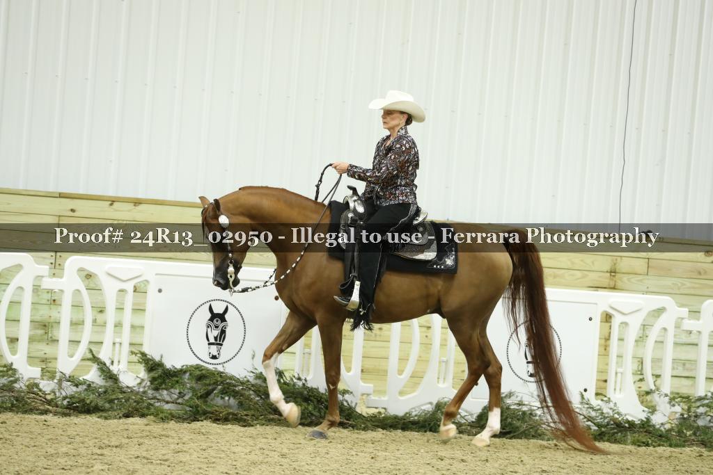 Proof Number 24R13_02950