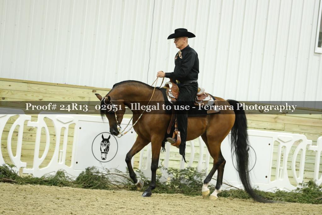 Proof Number 24R13_02951