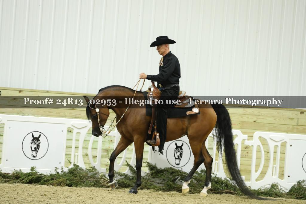Proof Number 24R13_02953