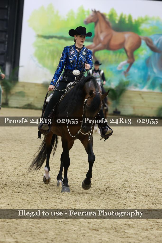 Proof Number 24R13_02955