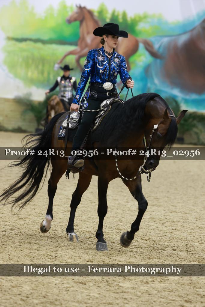 Proof Number 24R13_02956