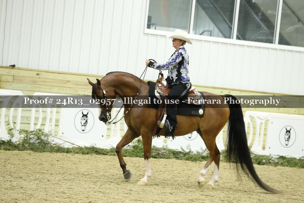 Proof Number 24R13_02957