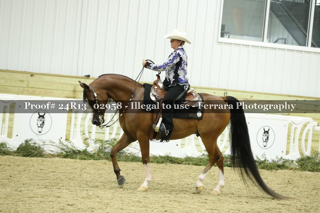 Proof Number 24R13_02958