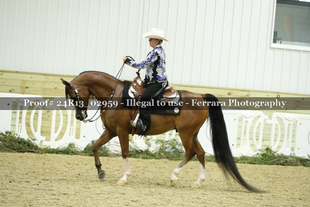 Proof Number 24R13_02959