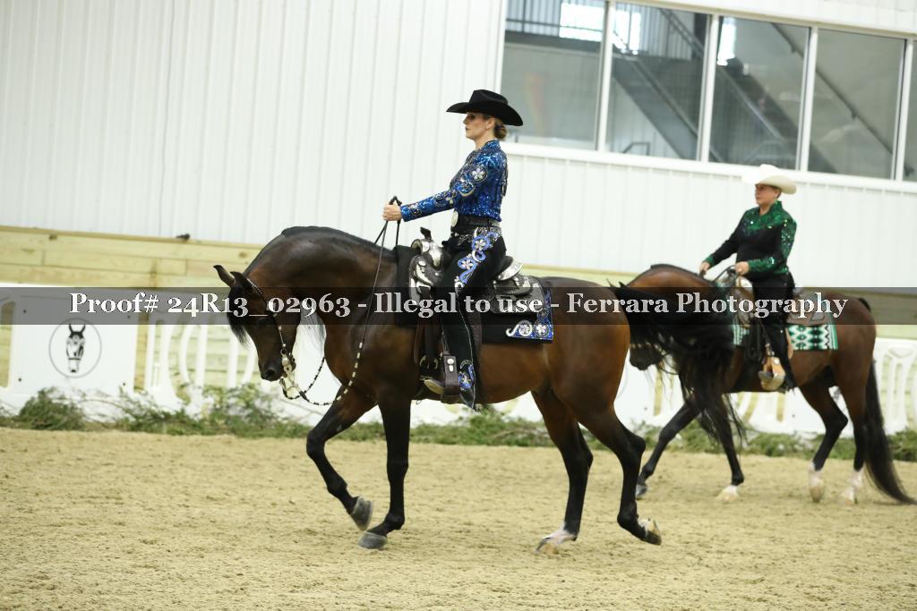 Proof Number 24R13_02963